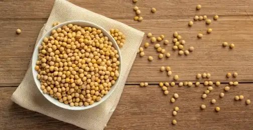 Is soybean extract safe?